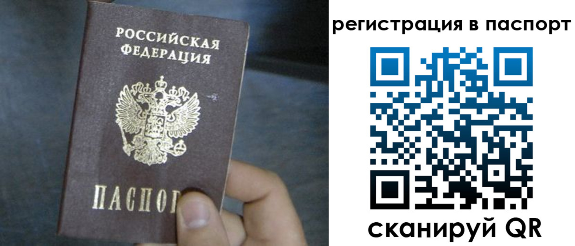 прописка 2025 в Дмитрове